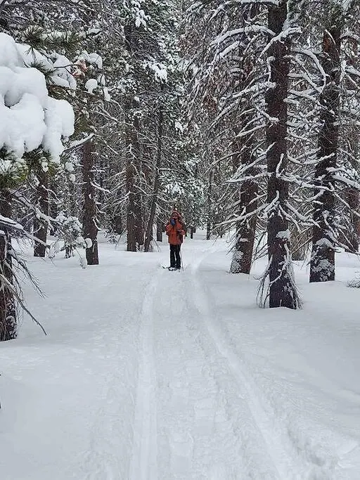 Cozy Cabin-Style Condo In Central Location Mammoth Lakes 0*,  United States