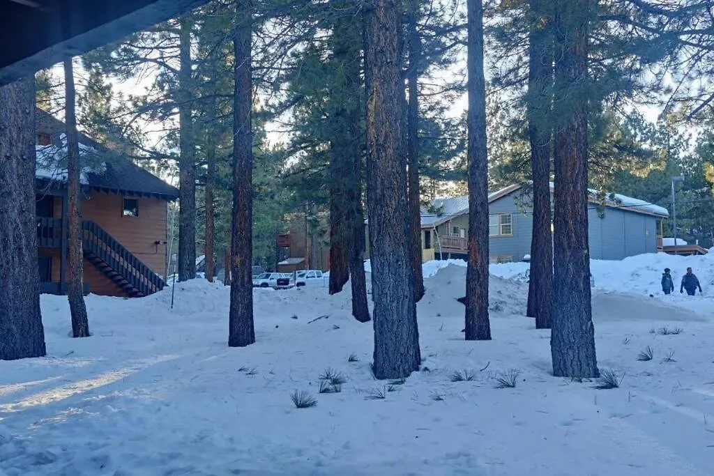 Cozy Cabin-Style Condo In Central Location Mammoth Lakes 0*,